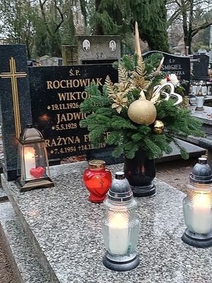 Obrazek wybrany przez użytkownika