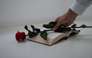 Image chosen by user