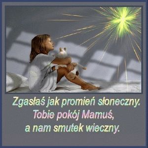 Image chosen by user
