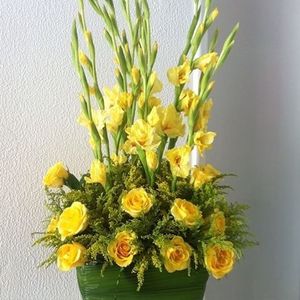Image chosen by user