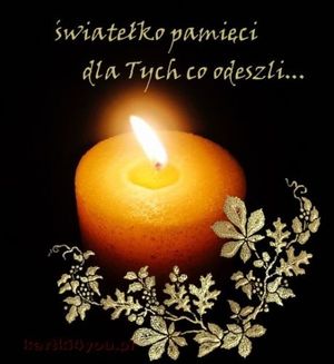 Obrazek wybrany przez użytkownika