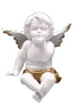Image chosen by user