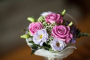 Image chosen by user