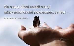 Image chosen by user