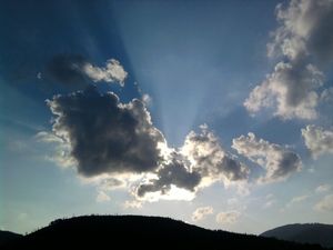 Obrazek wybrany przez użytkownika
