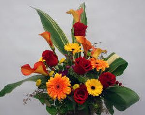 Image chosen by user