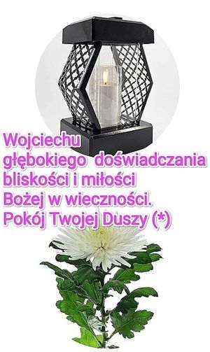 Obrazek wybrany przez użytkownika