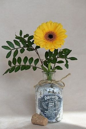 Image chosen by user