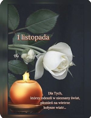 Obrazek wybrany przez użytkownika