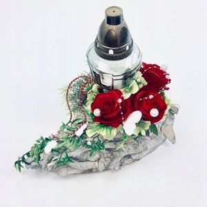 Image chosen by user