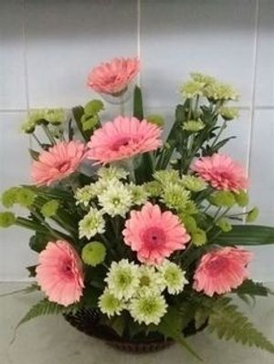 Image chosen by user