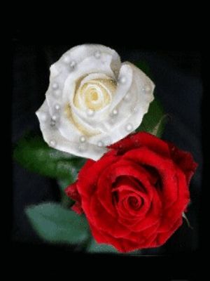 Image chosen by user