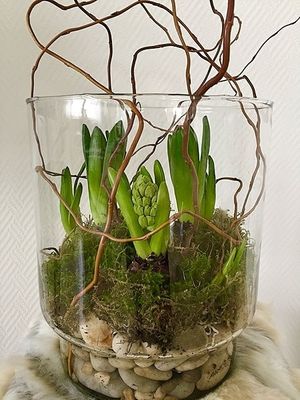 Image chosen by user