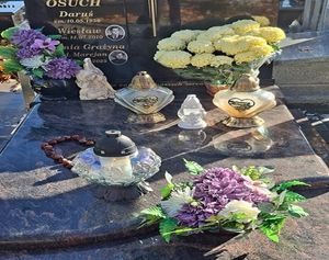 Obrazek wybrany przez użytkownika
