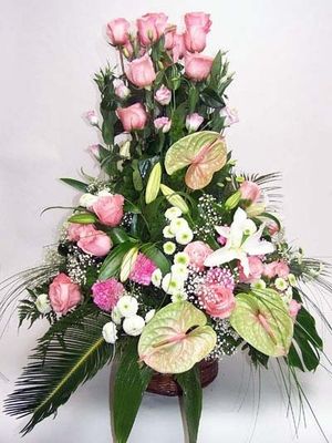 Image chosen by user