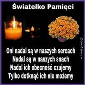 Obrazek wybrany przez użytkownika