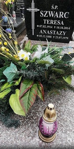 Obrazek wybrany przez użytkownika