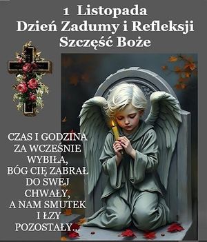 Obrazek wybrany przez użytkownika