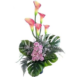 Image chosen by user