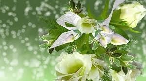 Image chosen by user