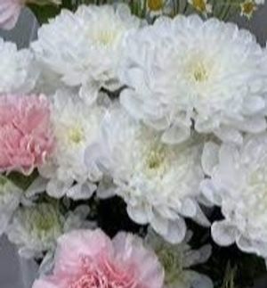 Image chosen by user