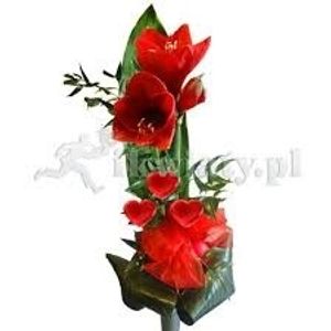 Image chosen by user