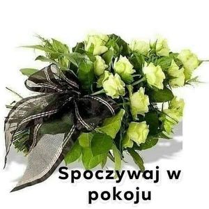 Obrazek wybrany przez użytkownika