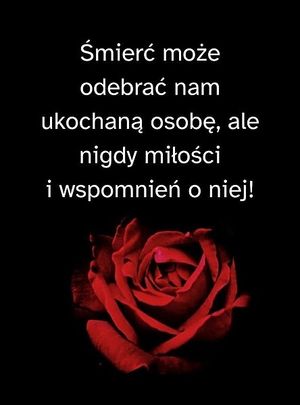 Obrazek wybrany przez użytkownika