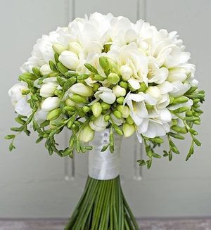 Image chosen by user