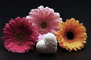 Image chosen by user