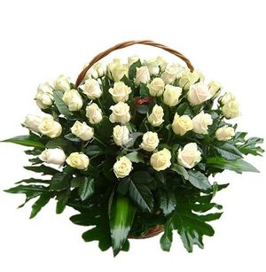 Image chosen by user