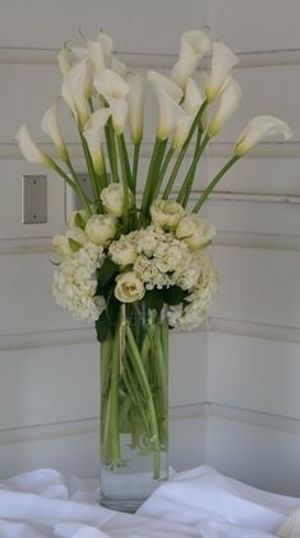 Image chosen by user