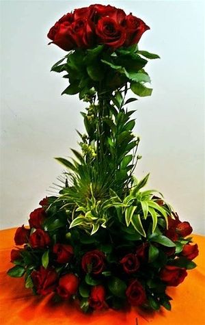 Image chosen by user