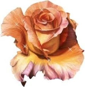 Image chosen by user