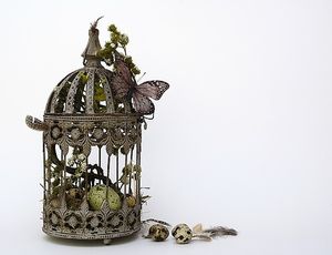 Image chosen by user