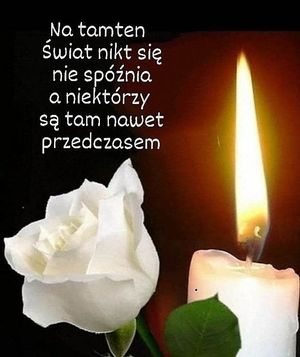 Obrazek wybrany przez użytkownika