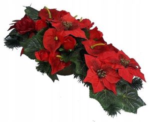 Image chosen by user