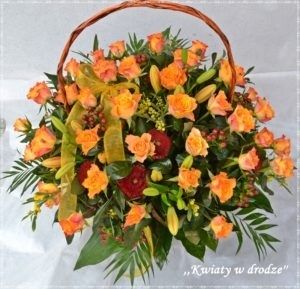 Image chosen by user