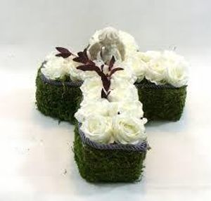 Image chosen by user