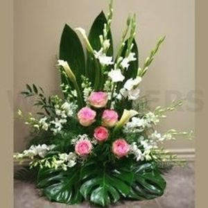 Image chosen by user