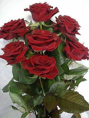 Image chosen by user