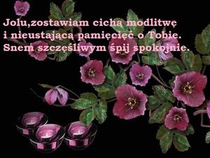 Image chosen by user