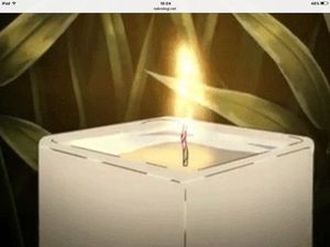 Image chosen by user