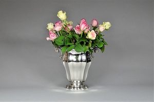 Image chosen by user