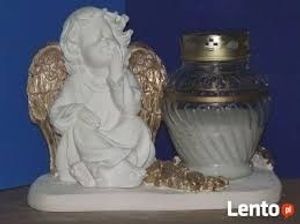 Image chosen by user
