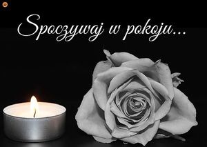 Obrazek wybrany przez użytkownika