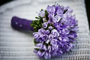 Image chosen by user