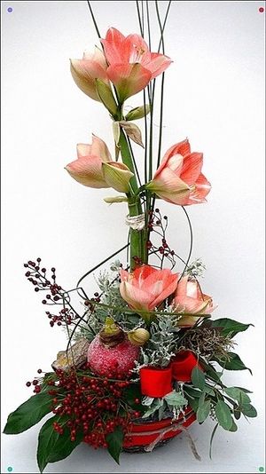 Image chosen by user