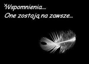 Obrazek wybrany przez użytkownika