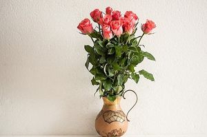 Image chosen by user